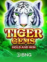 Tiger Gems Hold and win