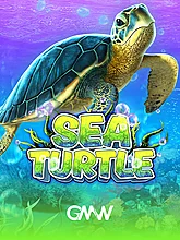 Sea Turtle